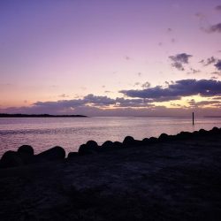 冷え込みで渋いです。