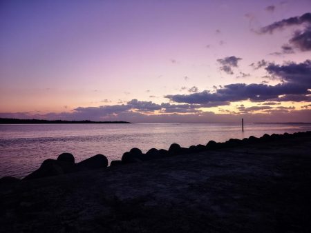 冷え込みで渋いです。