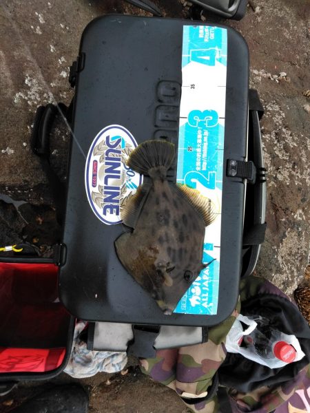 コッパグレ・ハゲ・・・・