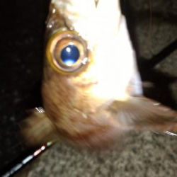 移動中に少しだけ