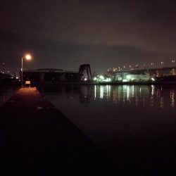 南港フェリーヘチ釣り （タケノコメバル 22cm、ガシラ 釣果有り）