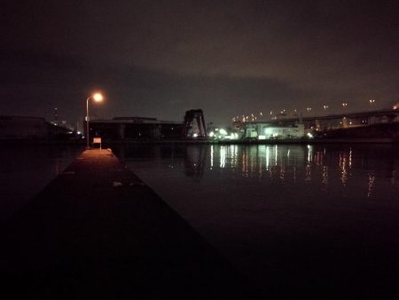 南港フェリーヘチ釣り （タケノコメバル 22cm、ガシラ 釣果有り）