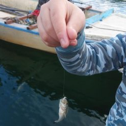 クリスマス家族サービス？