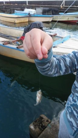 クリスマス家族サービス？