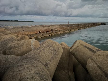 ４日ぶりに雨は上がり長いの釣れました