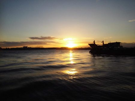 まだまだタチウオ居てますね