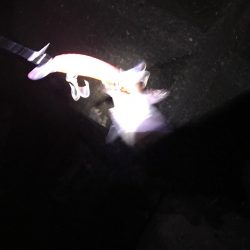 まだ可能性を感じる