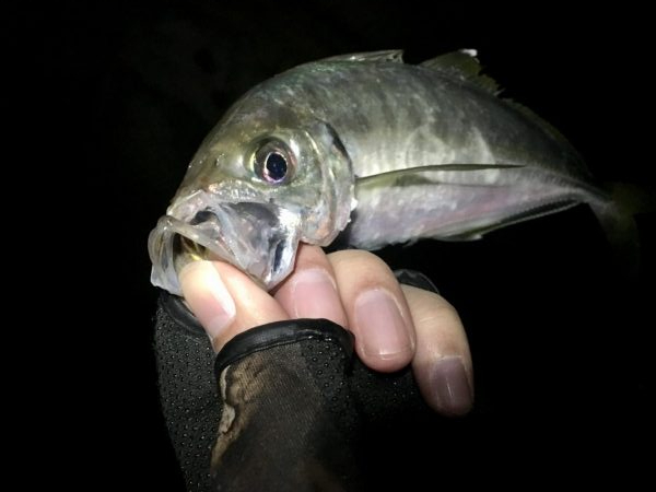 サタデーナイトフィーバー!!