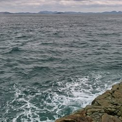 今期初参戦、平島にてヒラス狙い。