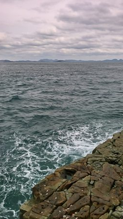 今期初参戦、平島にてヒラス狙い。