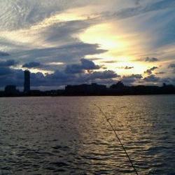 サビキ後のブラクリ