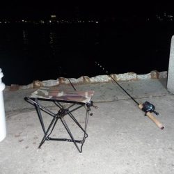 キビナゴ15匹で1ダース