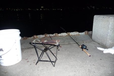 キビナゴ15匹で1ダース