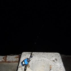 今年最後の釣行でアナゴ釣り