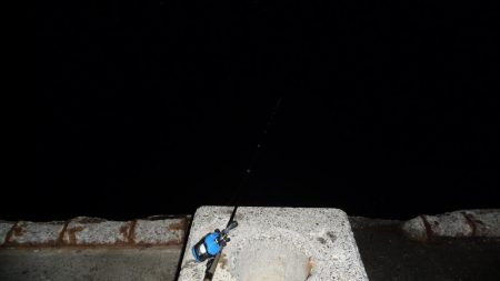 今年最後の釣行でアナゴ釣り