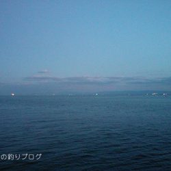 大物バラシ3連発!