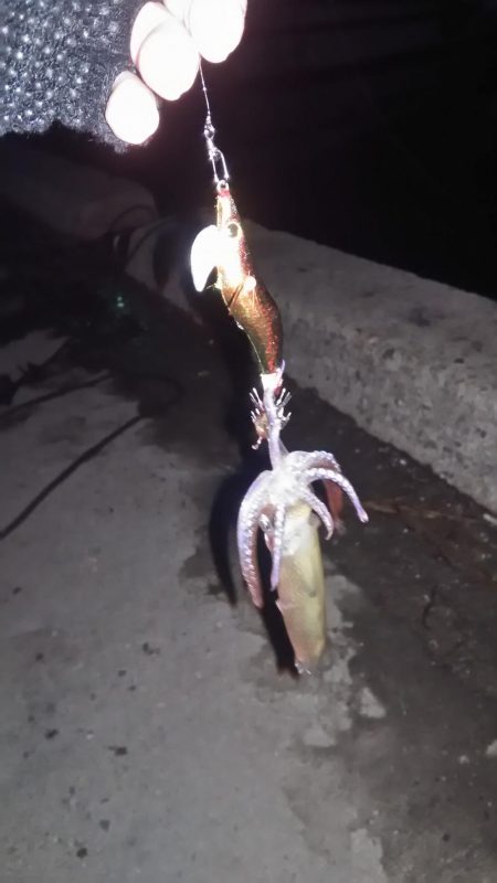 ヒイカリベンジ