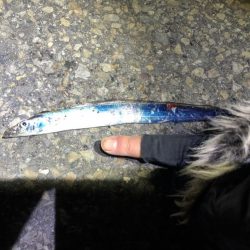 メッキうじゃうじゃ