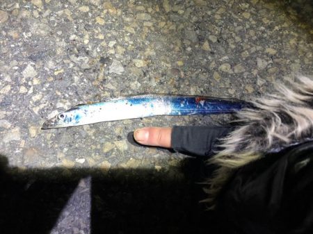 メッキうじゃうじゃ