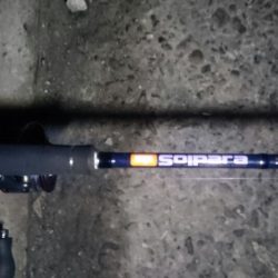 出勤前の湾奥タチウオ調査