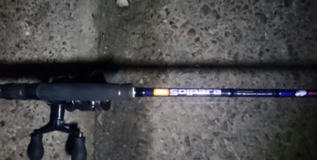 出勤前の湾奥タチウオ調査