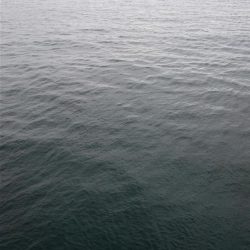 今日も泉大津にてタチウオ釣行