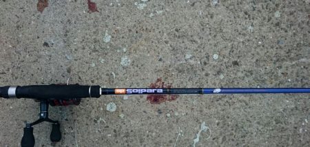 南港 最湾奥のタチウオ調査