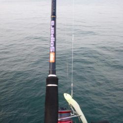 極寒タチウオ釣行