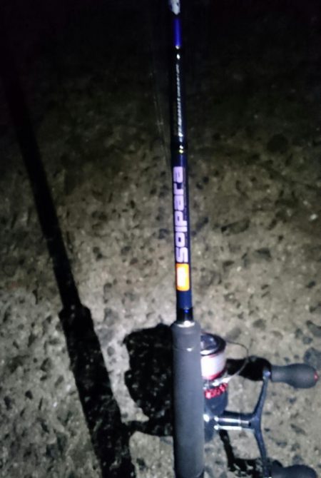 短時間タチウオ釣行