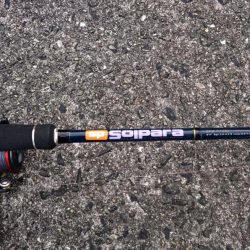 しつこく太刀魚釣り