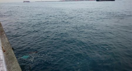 今ｼｰｽﾞﾝ最後のタチウオ釣行、多分・・・