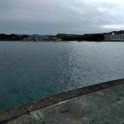 アジ釣れてます!!