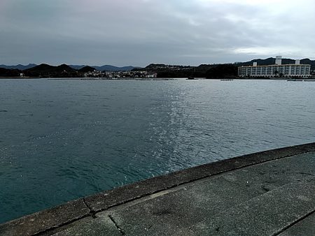 アジ釣れてます!!