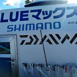 太刀魚絶好調です!!