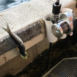 タチウオジギング とテンヤ