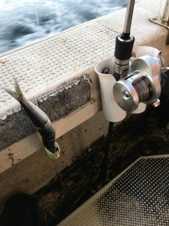 タチウオジギング とテンヤ