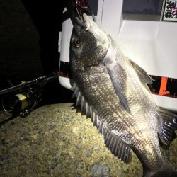 爆風ライトゲーム