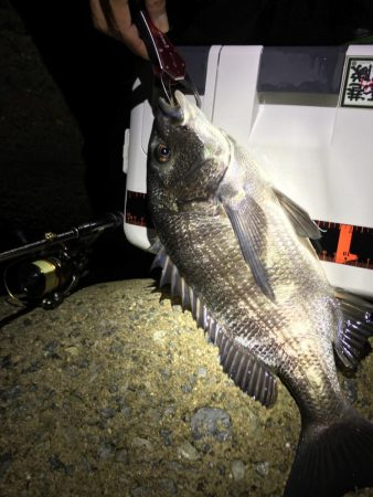 爆風ライトゲーム