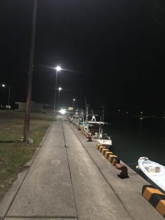 良型のカマスは一体何処に