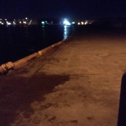 1週間ぶり激寒の中