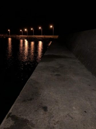 アジング メバリング