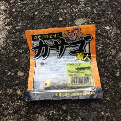 岸壁探り釣り ソイ