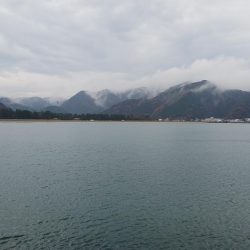 今日はあかんかった