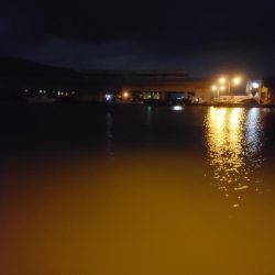 ボウズは回避出来たが…