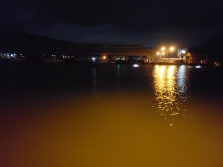 ボウズは回避出来たが…