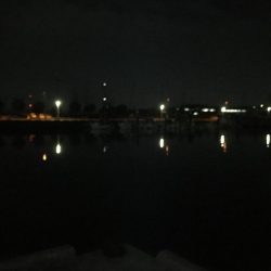 ひいか、たけのこめばる