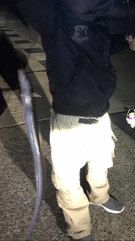 五目釣り達成！