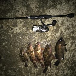 今日も1時間だけ！