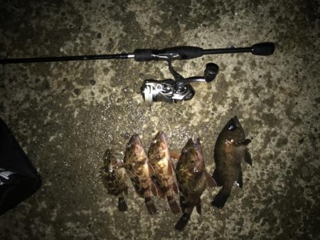 今日も1時間だけ！