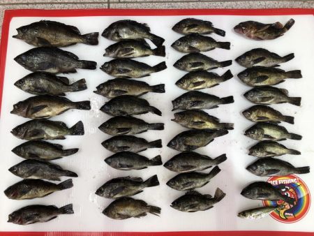 鳥取メバリング